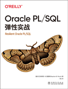 Oracle PL/SQL弹性实战